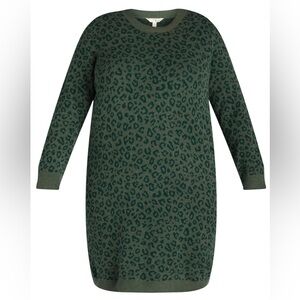 Terra & Sky Scoop Neck Leopard Print Sweater Dress